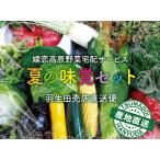 【クール便代込】夏の味覚Aセット 18日以降とうもろこしなし