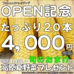 予約)とうもろこし 甘い 野菜 産直 めぐみ 2L 20本 お中元