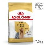 ショッピングロイヤルカナン ロイヤルカナン ヨークシャーテリア 成犬・高齢犬用 7.5kg (犬・ドッグ) [正規品] ドッグフード 犬 ドライフード