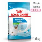  Royal kana nSHN extra маленький papi- миниатюрный собака рост поздняя версия. . собака для после рождения 10 месяцев . до 1.5kg ( собака * собака )[ стандартный товар ]