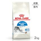 ロイヤルカナン インドア 猫用 2kg (猫・キャット) [正規品]