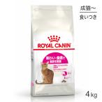 ショッピング正規品 ロイヤルカナン セイバーエクシジェント猫用 4kg (猫・キャット) [正規品] キャットフード ドライ