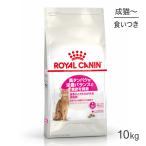 ロイヤルカナン FHN プロテイン エクシジェント 食事にこだわりがある成猫用 生後12ヵ月齢から12歳まで 10kg (猫・キャット)[正規品]
