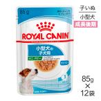 ロイヤルカナン ウェットフード ミニパピー 子犬用10ヶ月齢まで 85g×12袋