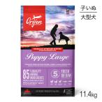 ■6/25クーポン有■オリジンパピ...