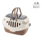  Ricci .ru pico собака Carry Brown ( собака * собака )