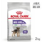  Royal kana nCCNmi лак te ARAI zdo маленький размер собака ..*.. после рождения 10 месяцев . и больше 2kg ( собака * собака )[ стандартный товар ]