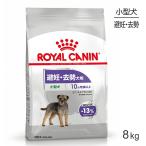  Royal kana nCCNmi лак te ARAI zdo маленький размер собака ..*.. после рождения 10 месяцев . и больше 8kg ( собака * собака )[ стандартный товар ]