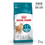  Royal kana nFHN старение стерео ARAI zdo11+..*.. высота . кошка для 11 лет и больше 2kg ( кошка * кошка )[ стандартный товар ]