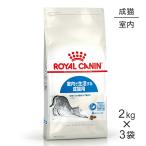 【2kg×3袋】ロイヤルカナン インドア  (猫・キャット)[正規品]