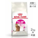 【2kg×4袋】ロイヤルカナン セイバーエクシジェント  (猫・キャット)[正規品]
