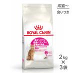 【2kg×3袋】ロイヤルカナン FHN プロテイン エクシジェント 食事にこだわりがある成猫用 生後12ヵ月齢から12歳まで (猫・キャット)[正規品]
