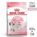 【400g×5袋】ロイヤルカナン 子猫 キトン 成長後期の子猫用 (猫・キャット) [正規品]