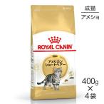 【400g×4袋】ロイヤルカナン アメリカンショートヘアー  (猫・キャット)[正規品]