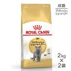 ショッピングショート 【2kg×2袋】ロイヤルカナン ブリティッシュショートヘアー  (猫・キャット)[正規品]