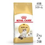 ショッピングロイヤルカナン 猫 【2kg×3袋】ロイヤルカナン ラグドール  (猫・キャット)[正規品]