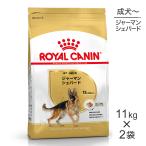 スイートペットYahoo!店 - マキシ(大型犬用)｜Yahoo!ショッピング