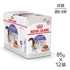[85g×12 пакет ] Royal kana nFHN-WET стерео ARAI zdo серый Be ..*.. для взрослой кошки после рождения 12 месяцев . и больше ( кошка * кошка )[ стандартный товар ]