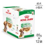 【85g×12袋】ロイヤルカナン ウェットフード ミニアダルト 成犬用 10ヶ月以上 (犬・ドッグ)[正規品]