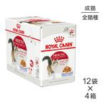 【85g×48袋】ロイヤルカナン FHN-WET インスティンクティブ ゼリー 健康的な成猫用 生後12ヵ月齢以上 パウチ (猫・キャット)[正規品]