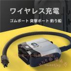  электрический компрессор воздушный насос / воздух вытащенный AC источник питания форсунка есть KNK( АО )SUP соответствует беспроводной / прикуриватель соответствует быстрый воздух примечание входить электрический насос 