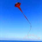  кайт кайт .. кайт кайт нить имеется 500m уличный KNK( АО ) нейлон крепкий большой Kids . взрослый . вне развлечение игрушка детский модный отдых оптимальный 