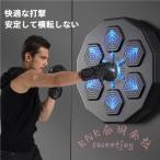正規品 音楽ボクシングマシン KNK(株） スマート ディスプレイ付き ライト付き 子供大人 壁掛け ボクシングトレーニング パンチング機器 エクササイズ