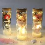 母の日 ギフト プリザーブドフラワー ガラス 枯れない花 永遠の花 KNK(株) ナイトライト ボトル 結婚式 発表会 誕生日 記念日 ラッピング済み プレゼント