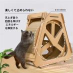  ржавчина производства кошка колесо кошка для беличье колесо KNK( АО ) немой колесо беговая дорожка движение нехватка аннулирование игрушка оснащение для игровой площадки кошка. to красный Mill салон 