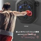 音楽ボクシングウォール 壁掛けトレーニングマシン KNK(株） ミュージック連動 パンチング練習 フィットネス 反射神経 家庭用 省スペース 静音