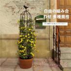  metal обелиск .. растения клетка высота 180/230/280cm KNK( АО ) долговечность steel диаметр трубы 16mm растения поддержка роза клематис .. растения для садоводство 