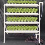  гидропонная культура комплект .... культивирование клубника овощи салон огород гидропонная культура комплект KNK( АО ) посадочная машина 36 дыра (36 дыра ) начинающий 