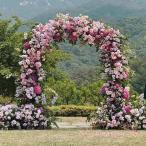  сад арка железный торцевая дверь роза арка цветок арка KNK( АО ) садоводство двор модный фруктовое дерево полки .. растения фигурная скобка вход арка забор сборка тип наружный LB-267