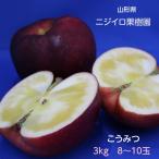【ニジイロ果樹園】りんご 蜜入り こうみつ 3kg 8〜10個 山形県天童市