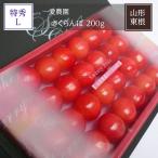 さくらんぼ 【一愛農園】 佐藤錦 200g 32粒 特秀 L チェリコン 贈答用 母の日 山形県東根市 《4/上旬〜4/中旬より出荷》
