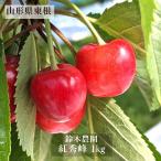 ショッピングお中元 さくらんぼ 【鈴木農園】 紅秀峰 1kg サイズL/２L 贈答 山形県東根市 お中元 御中元《6/下旬〜7/上旬の出荷》