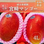 マンゴー 【緒方果樹園】 完熟マンゴー 4L 2個 1kg 贈答用 宮崎県宮崎市 《5/上〜5/中より出荷》