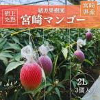 マンゴー 【緒方果樹園】 完熟マンゴー 2L 3個 1.1kg 茶箱 宮崎県宮崎市 《5/上〜5/中より出荷》