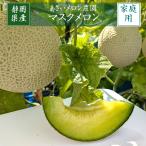 メロン 【あさいメロン農園】 マスクメロン アールスメロン 1玉 1.3kg 家庭用 静岡県磐田市