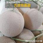  дыня [ person волна видеть сельское хозяйство .]... красный i роза King и т.п. ...1 вид 5kg 3~5 шар сахар раз 16 раз и больше .. для День матери День отца Ibaraki префектура Hokota город {5/ сверху .~5/ средний ... отгрузка }