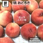 早期予約割引 早割 /【種まきうさぎ】硬い 桃 おどろき 訳あり品 家庭用 3kg 福島県 《8/5～8/中旬出荷 指定日不可》