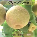 梨 【グリーンファーム】 萱場梨 5kg 2Lサイズ以上 8〜11玉 贈答用 福島県 福島市 和梨 《8/下旬〜9/上旬より出荷》