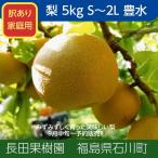 梨 【長田果樹園】 和梨 5kg ご家庭用 訳あり S以上 18〜22個 福島県 《9月中旬の出荷》