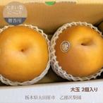 梨 【 乙連沢梨園 】大きい にっこり 1.8kg (900g×2個) 贈答用 プレゼント 栃木県 《10/中旬〜10下旬より出荷》