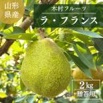  груша обыкновенная [ дерево . фрукты ]. нет la* Франция примерно 2kg 2L~5L 5~8 шар Yamagata префектура сверху гора город la Франция {11/ средний .~11/ последняя декада .. отгрузка }