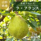  груша обыкновенная [ дерево . фрукты ]. нет la* Франция примерно 3kg 2L~5L 7~11 шар Yamagata префектура сверху гора город la Франция {11/ средний .~11/ последняя декада .. отгрузка }