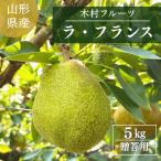  груша обыкновенная [ дерево . фрукты ]. нет la* Франция примерно 5kg 2L~5L 12~18 шар Yamagata префектура сверху гора город la Франция {11/ средний .~11/ последняя декада .. отгрузка }