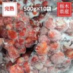 ショッピングいちご いちご 冷凍いちご 家庭用 5kg 500g×10袋 栃木県産 イチゴ 苺 いちご 完熟  国産 業務用