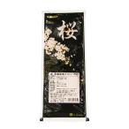 桜 茨城赤肉メロン P026