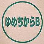 北海道産 パン用超強力粉 ゆめちから 100% 2.5kg(常温)(小分け)